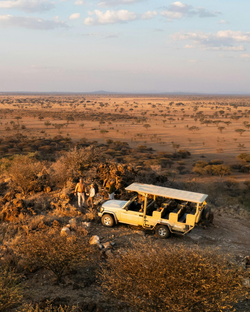 Safari · Atlas Atelier