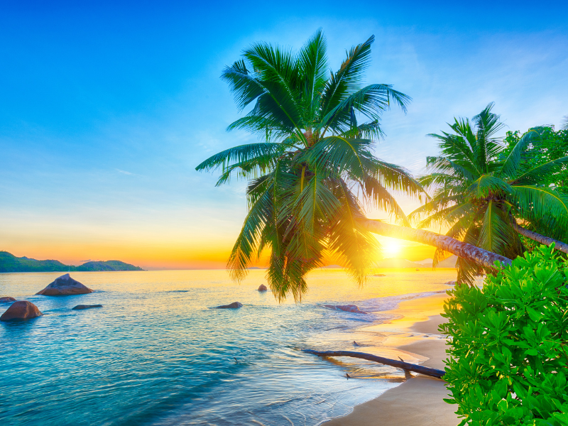 Island Hopping
