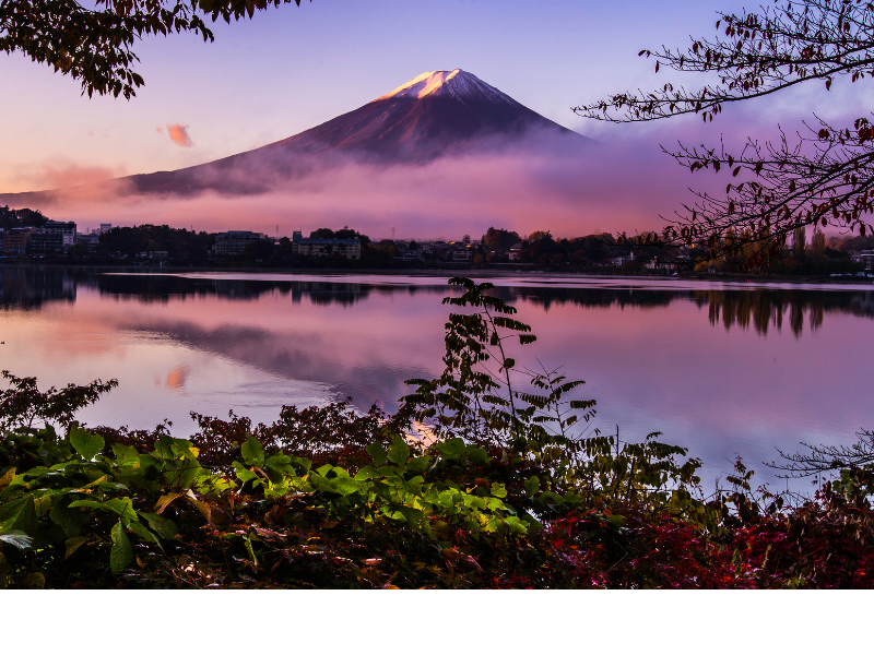 The Art of Japan