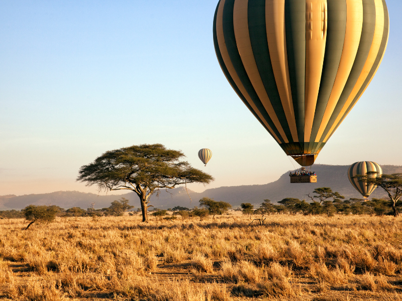 Serengeti by Private Fly-In
